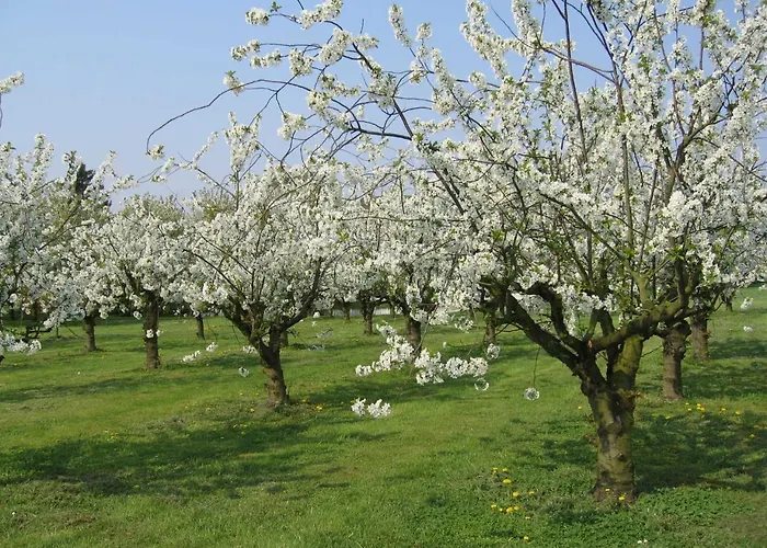 Prázdninový dům Kogge Im Altes Land